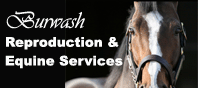 Burwash Equines Services Ltd.