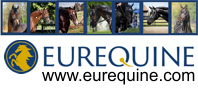 Eurequine LLC