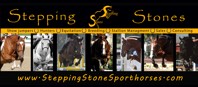 Stepping Stones Sporthorses