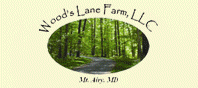 Wood’s Lane LLC